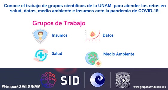 Grupos de trabajo UNAM Covid