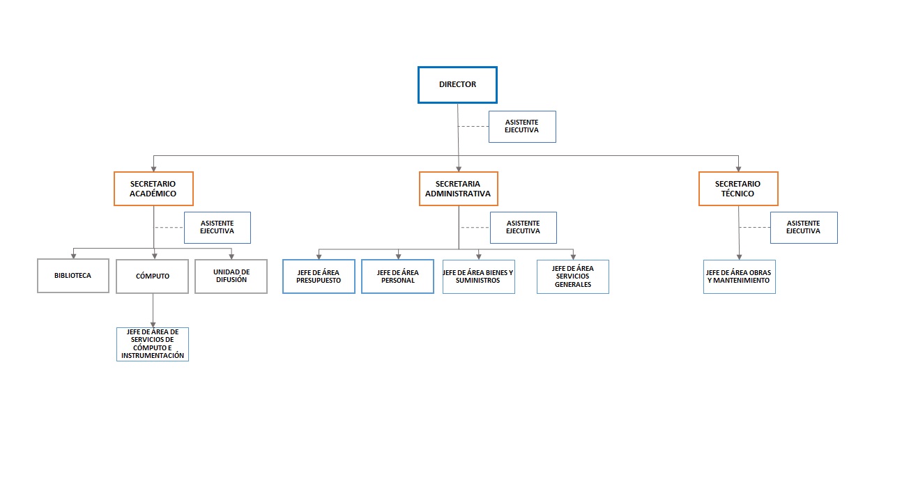 estructura orgánica ICF