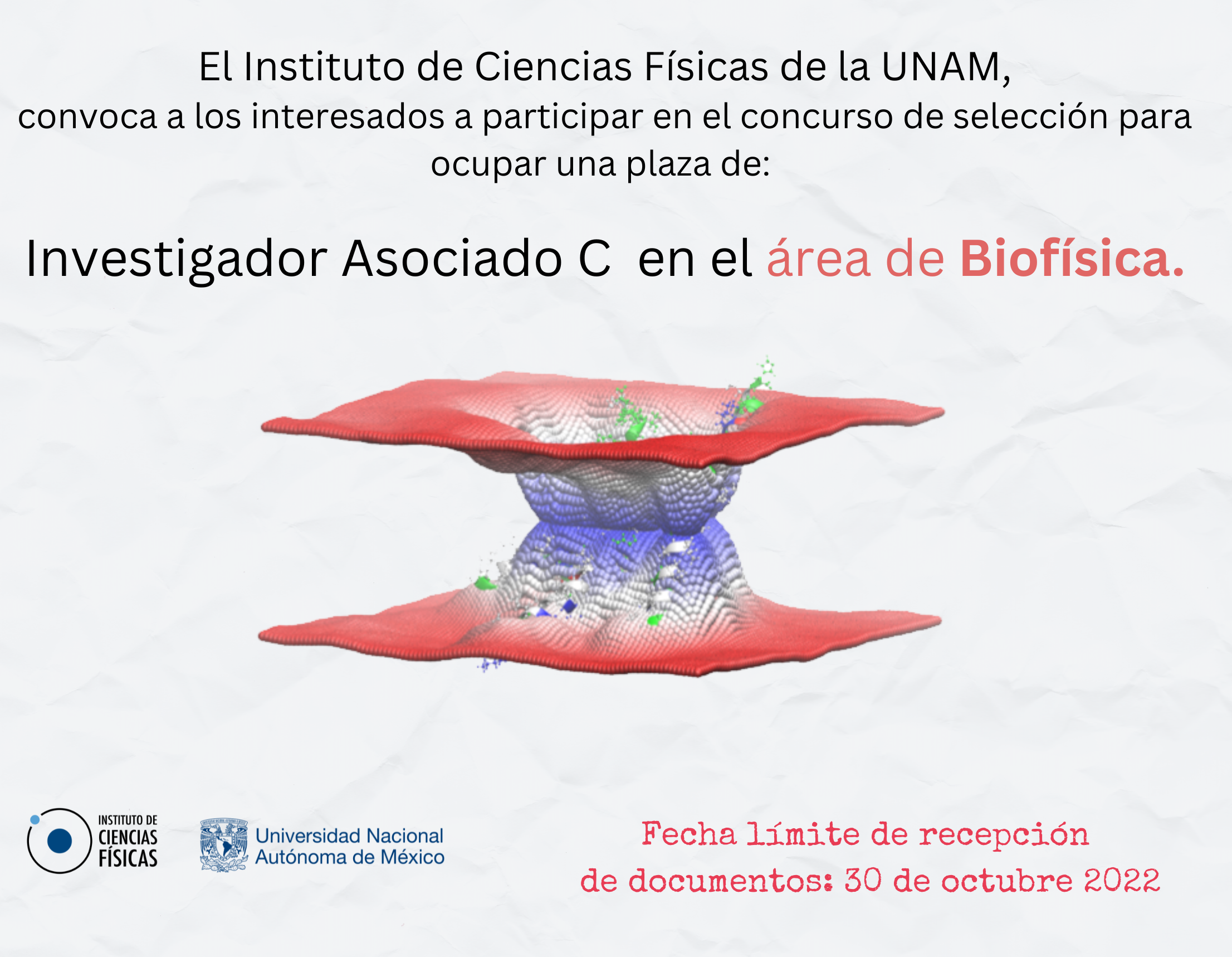 Plaza de Investigador Asociado C en el área de Biofísica.