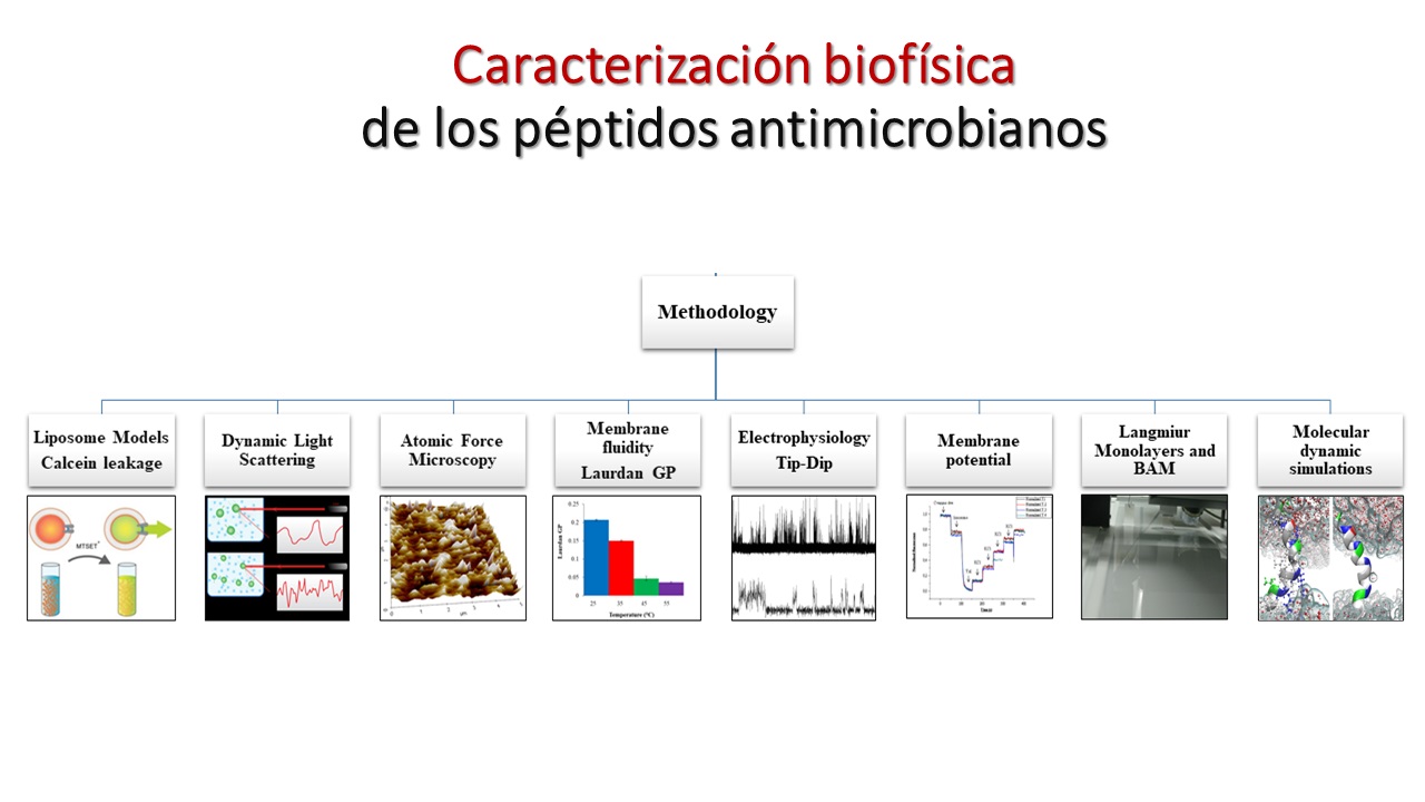 Laboratorio de Membranas